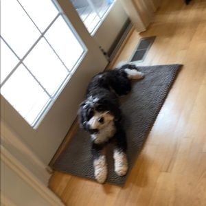 Meet your Posher, Larry